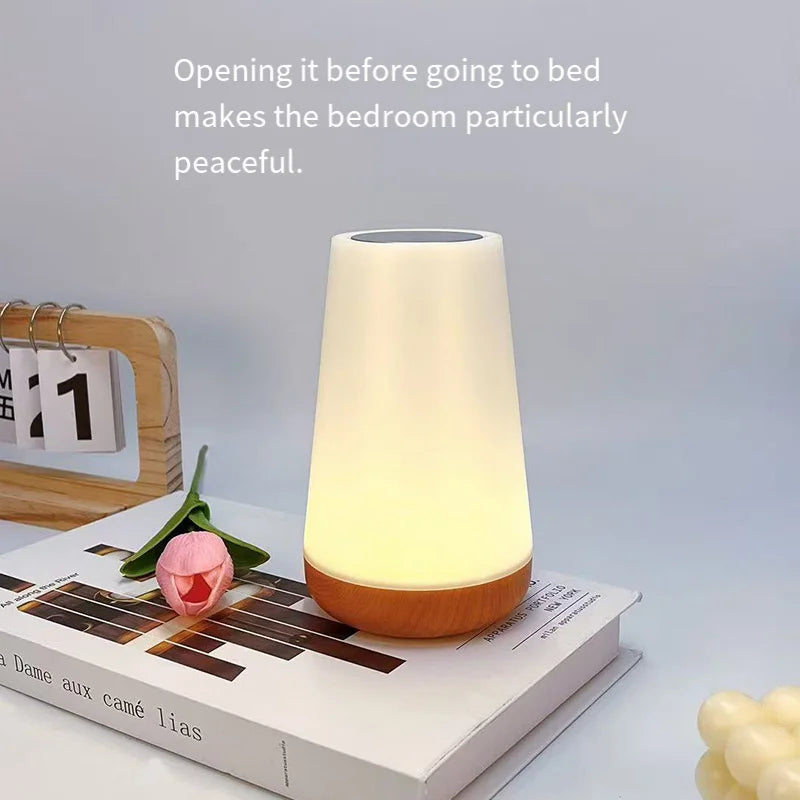 Night Light Bedroom Dimmable Touch Lamp 13 Colors and 5 Brightness Baby Table Lamp Portable Rechargeable Bedside Table Lamp
